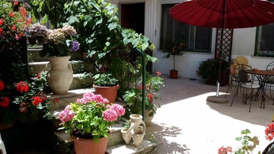 Albergo Magenta Casella  Luaran gambar
